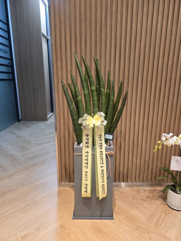 업로드 이미지