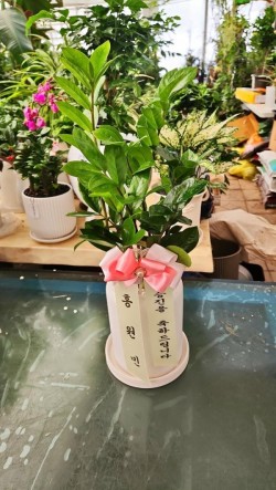 배송사진