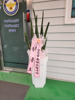 배송사진