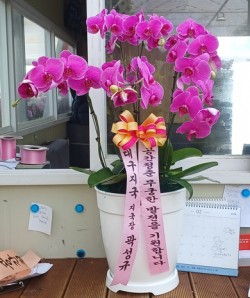 배송사진