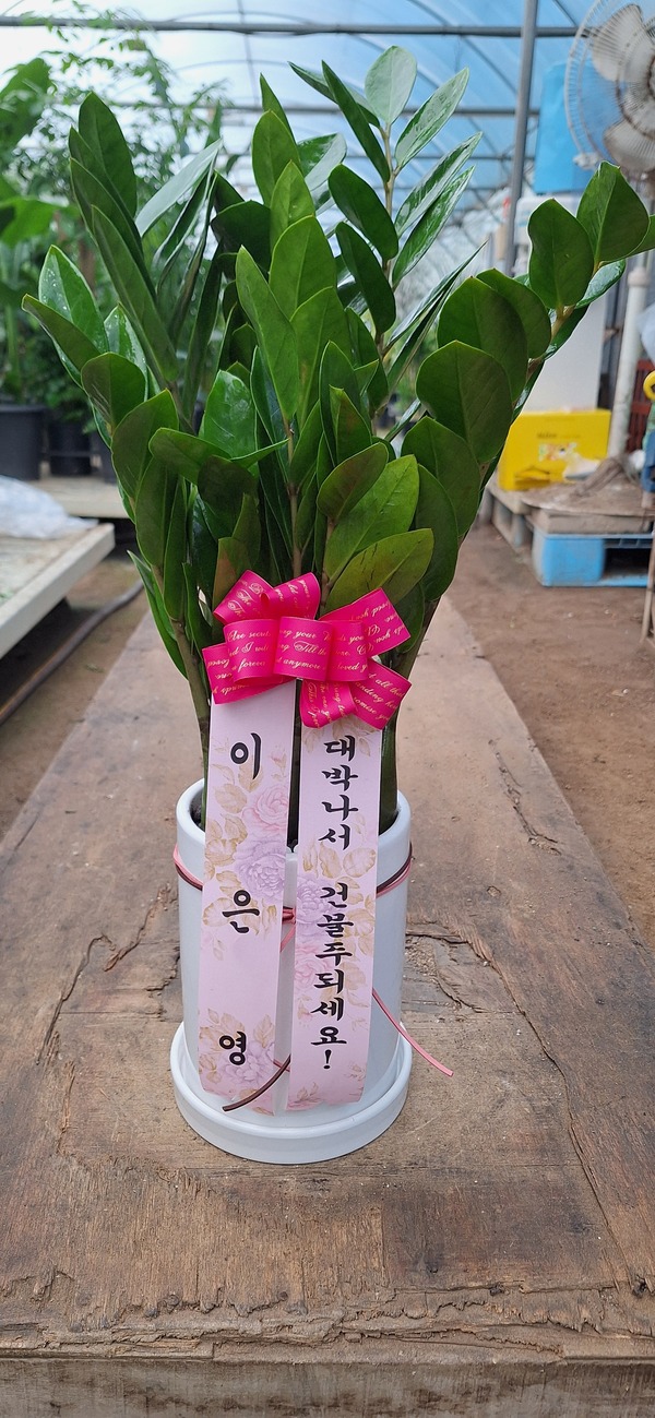 업로드 이미지