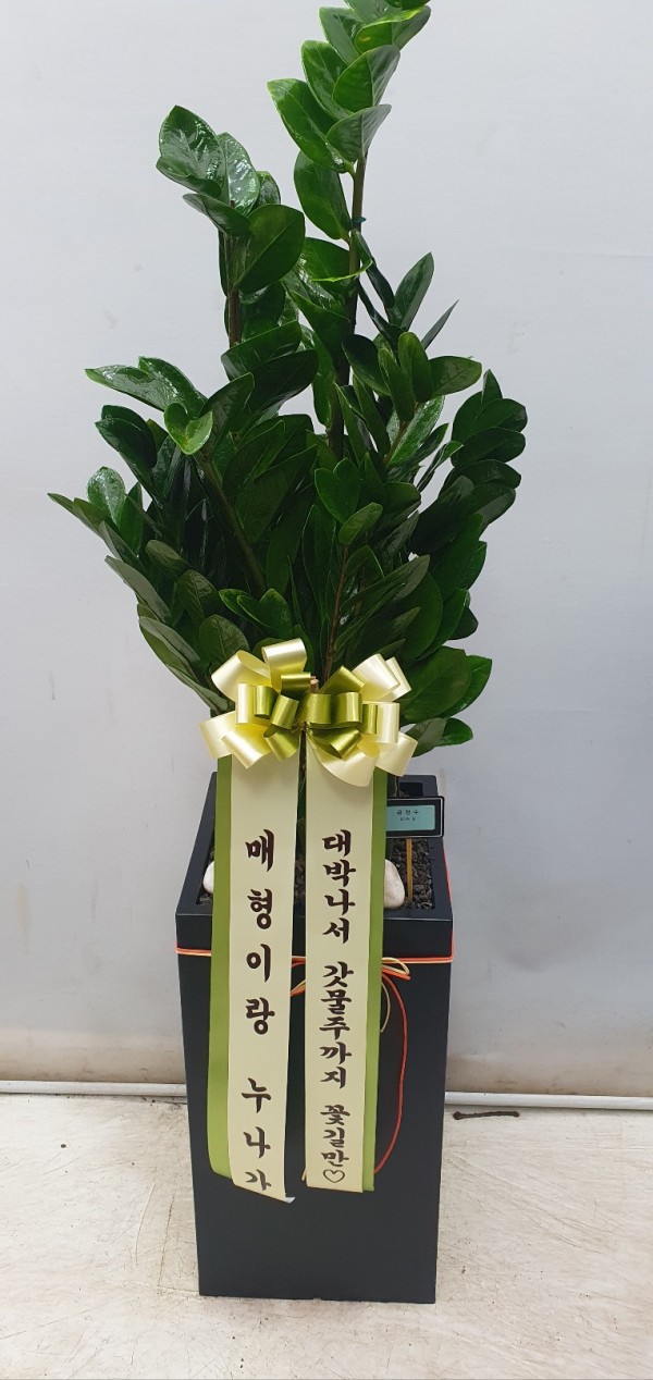 업로드 이미지