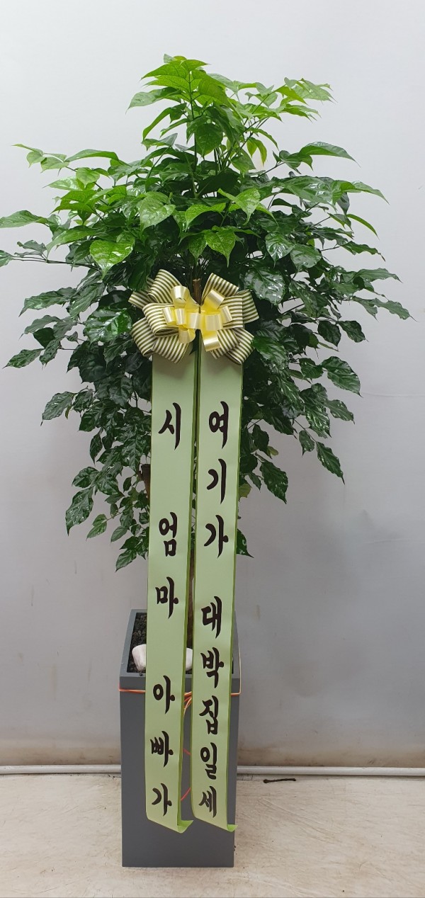 업로드 이미지