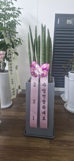 배송사진