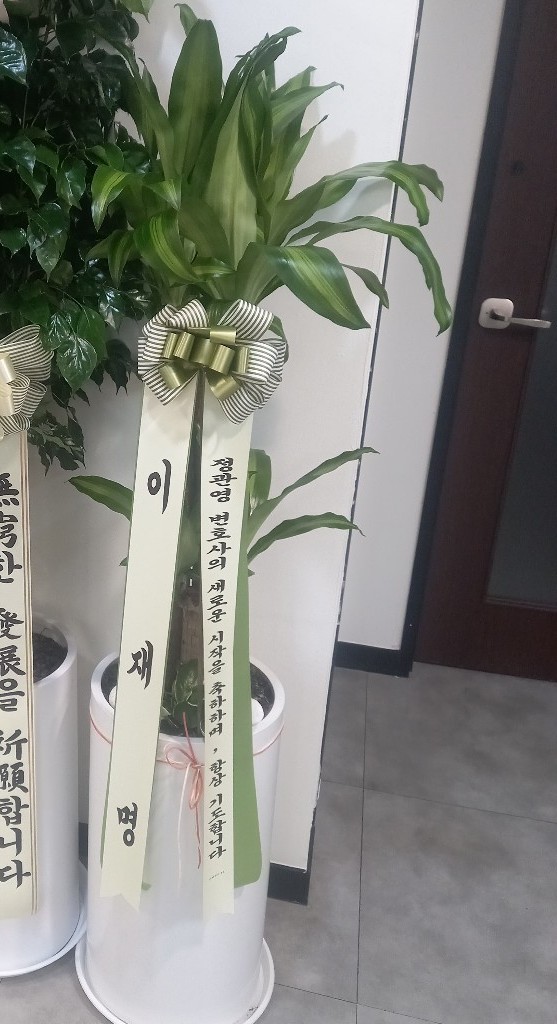 업로드 이미지