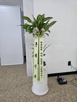 배송사진