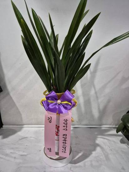 업로드 이미지