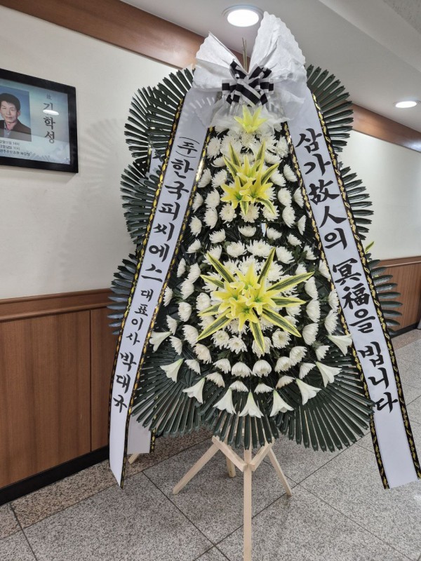 업로드 이미지