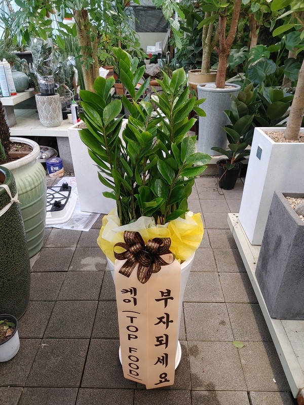 업로드 이미지