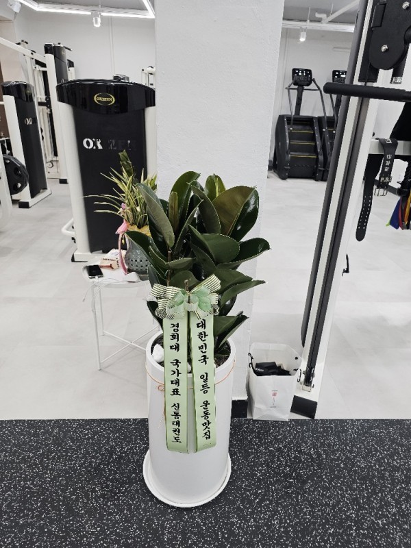 업로드 이미지