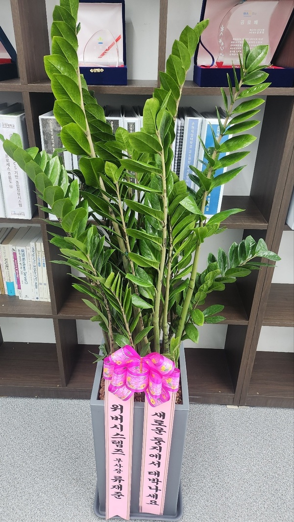 업로드 이미지
