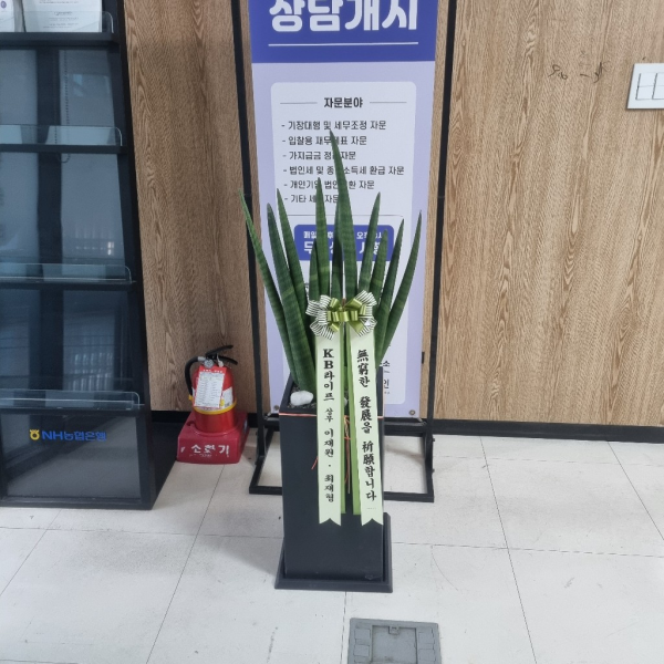 업로드 이미지