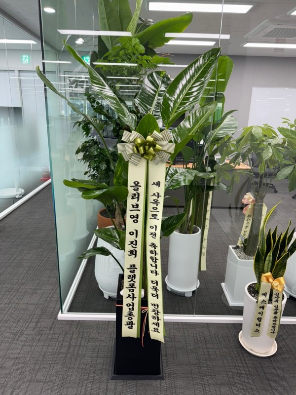 업로드 이미지