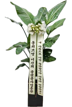 업로드 이미지
