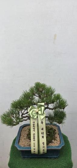 업로드 이미지