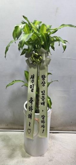 배송사진