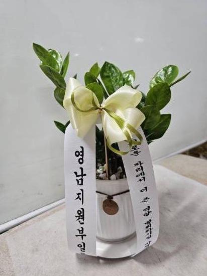 업로드 이미지