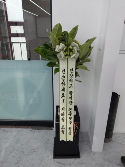 배송사진