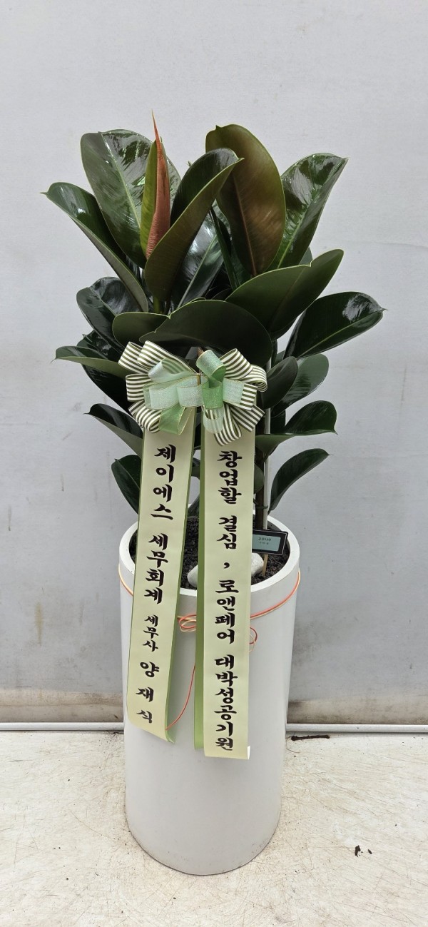 업로드 이미지