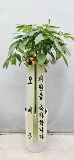 업로드 이미지