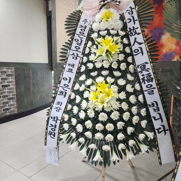업로드 이미지