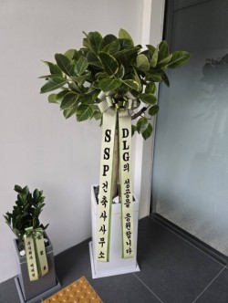 배송사진