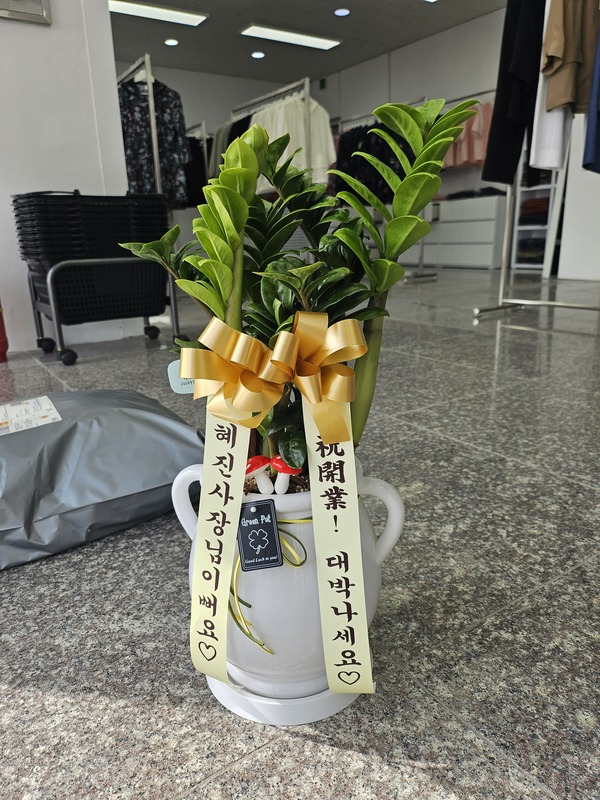 업로드 이미지