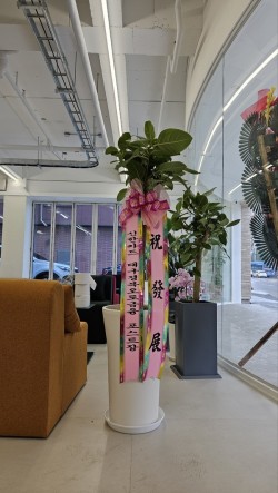배송사진