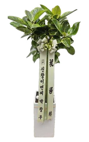 업로드 이미지