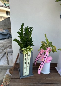 배송사진