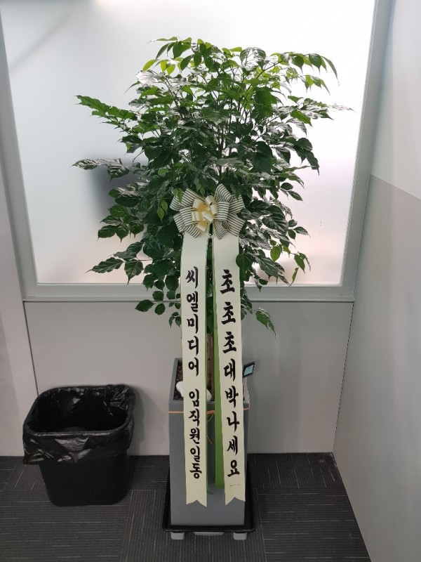 업로드 이미지