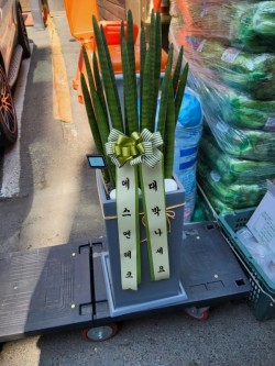 배송사진