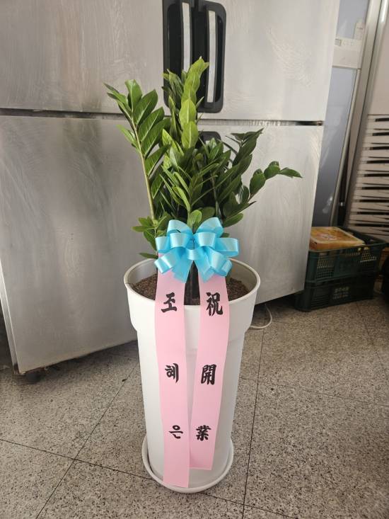 업로드 이미지