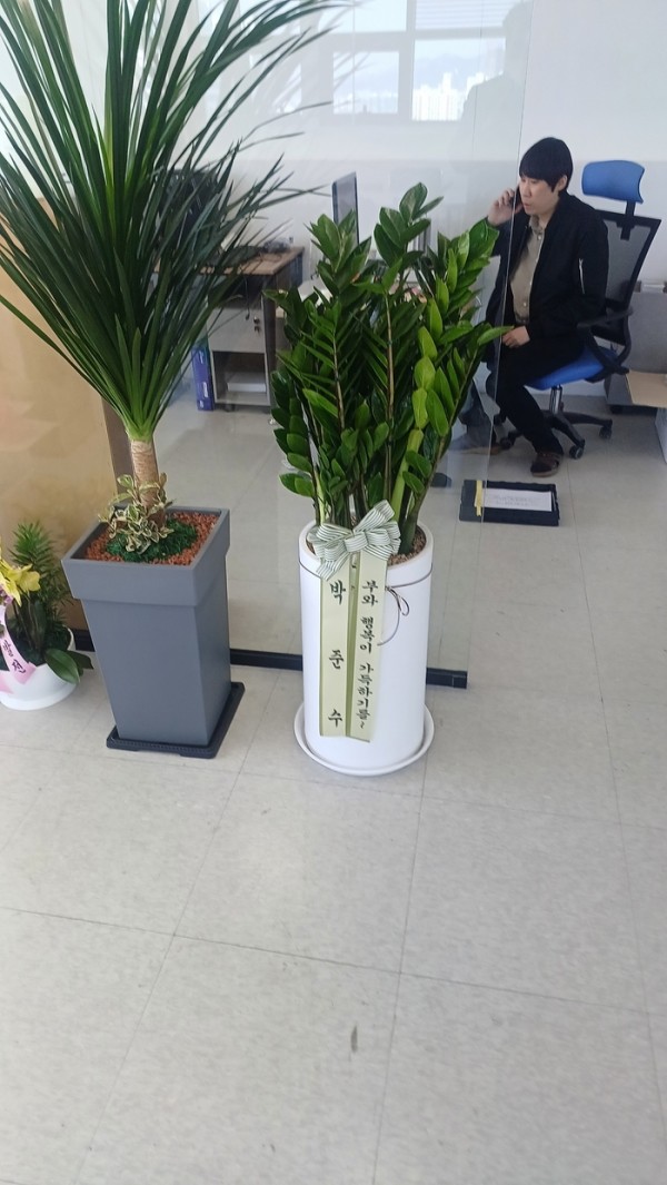 업로드 이미지