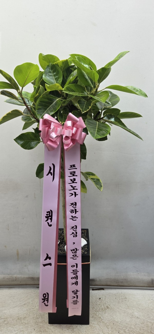 업로드 이미지