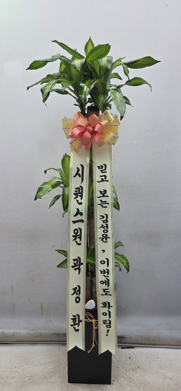 업로드 이미지
