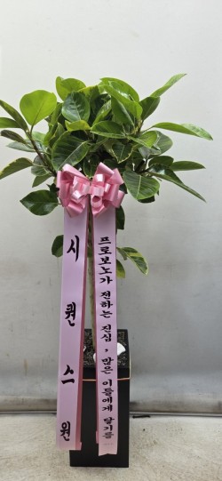 배송사진