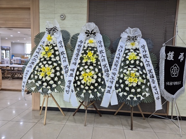 업로드 이미지
