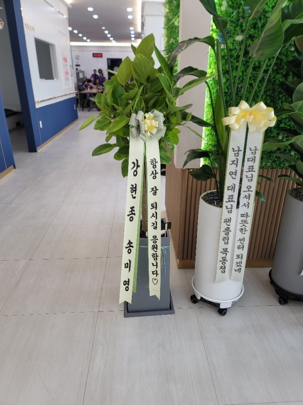 업로드 이미지