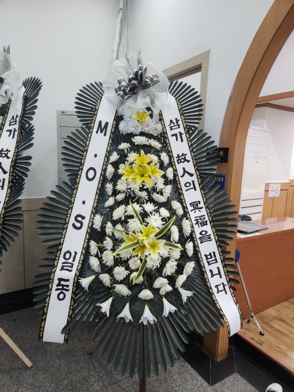 업로드 이미지