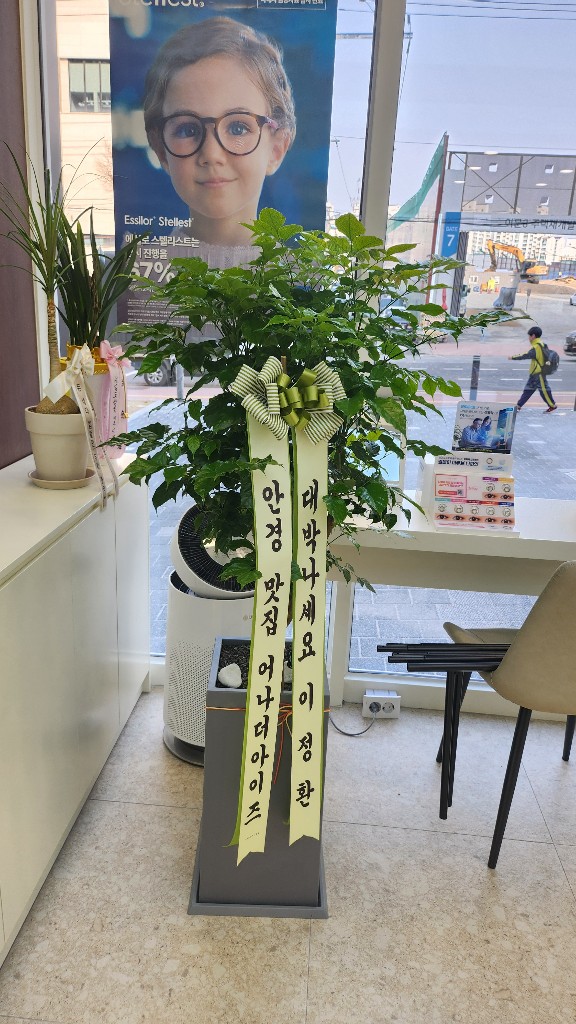 업로드 이미지