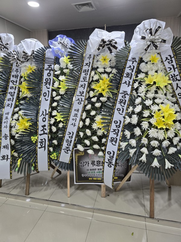 업로드 이미지