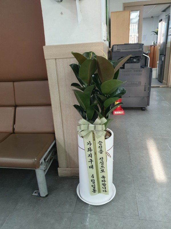 업로드 이미지