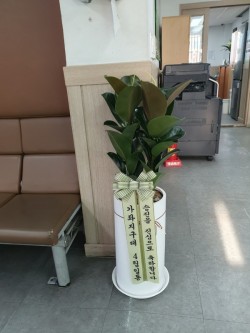배송사진