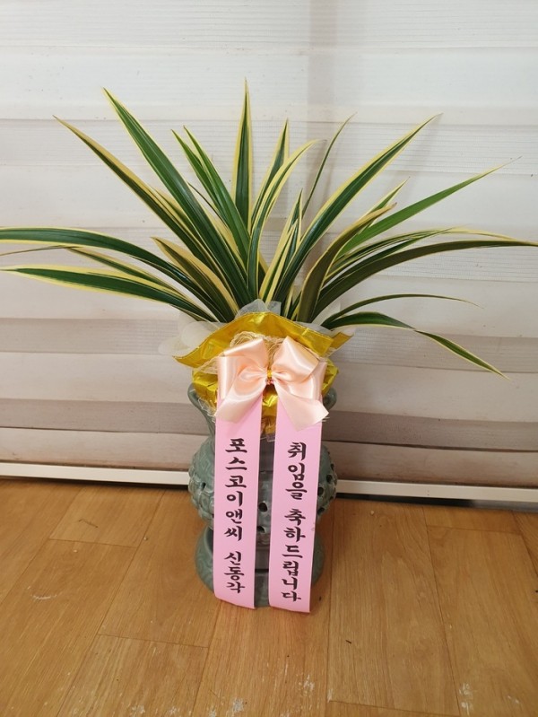 업로드 이미지
