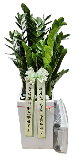 업로드 이미지