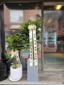배송사진
