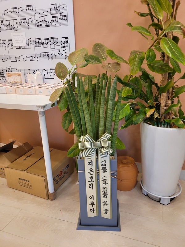 업로드 이미지