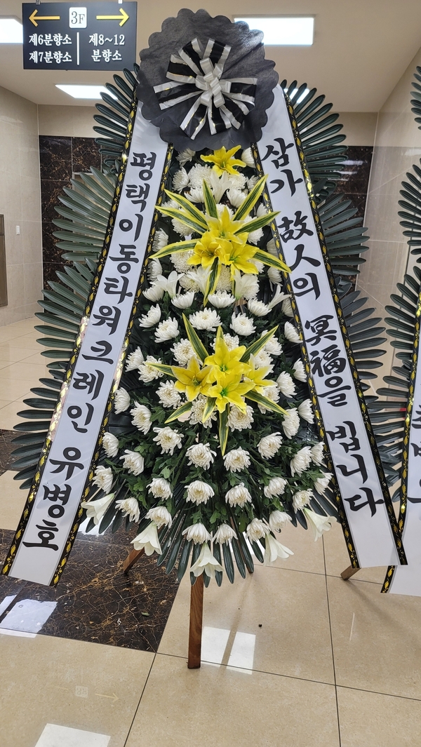 업로드 이미지