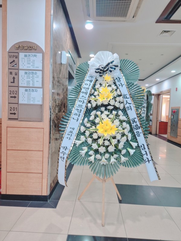 업로드 이미지